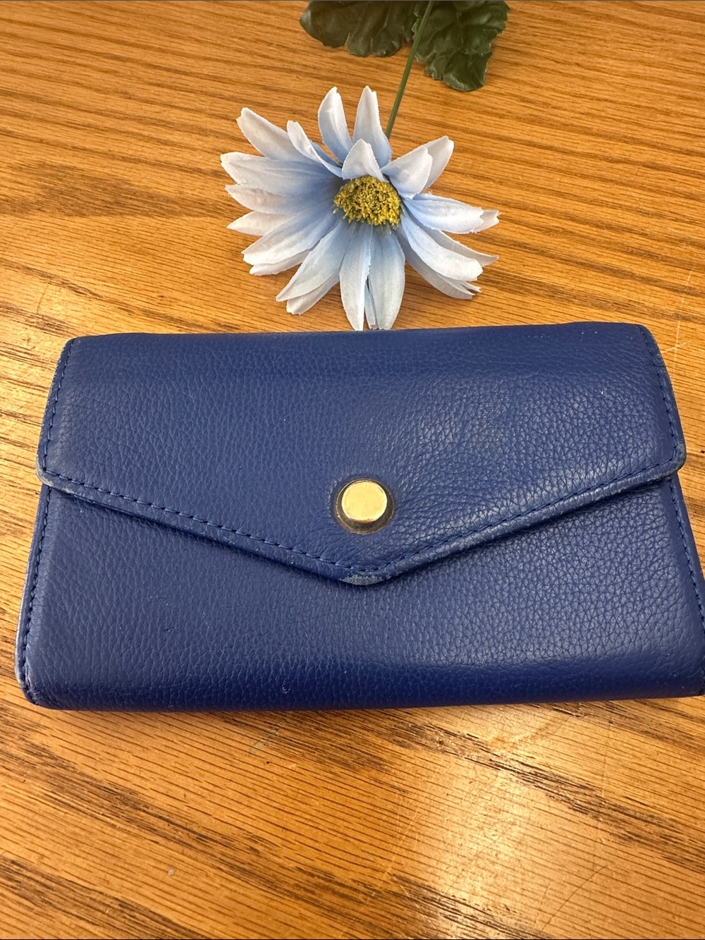 Stella and Max Blue Women's Envelope Wallet